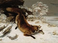 Fox in the Snow by Gustav Courbet